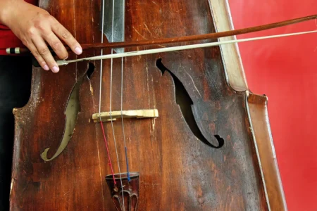 Violoncelle
