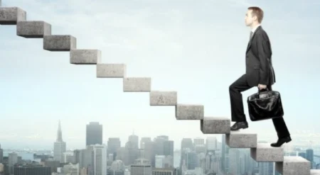 Carrière professionnelle