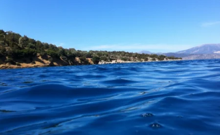 Pourquoi la mer est elle bleue