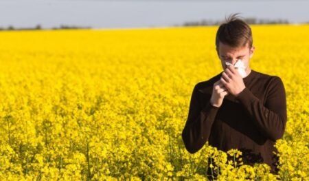 Allergies au pollens