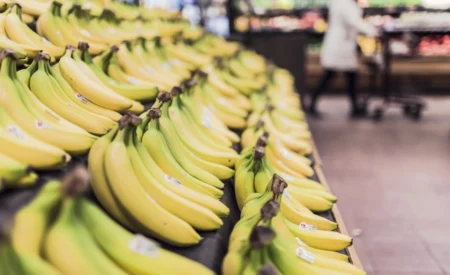 Bio contre grande distribution