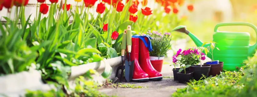 Jardinage