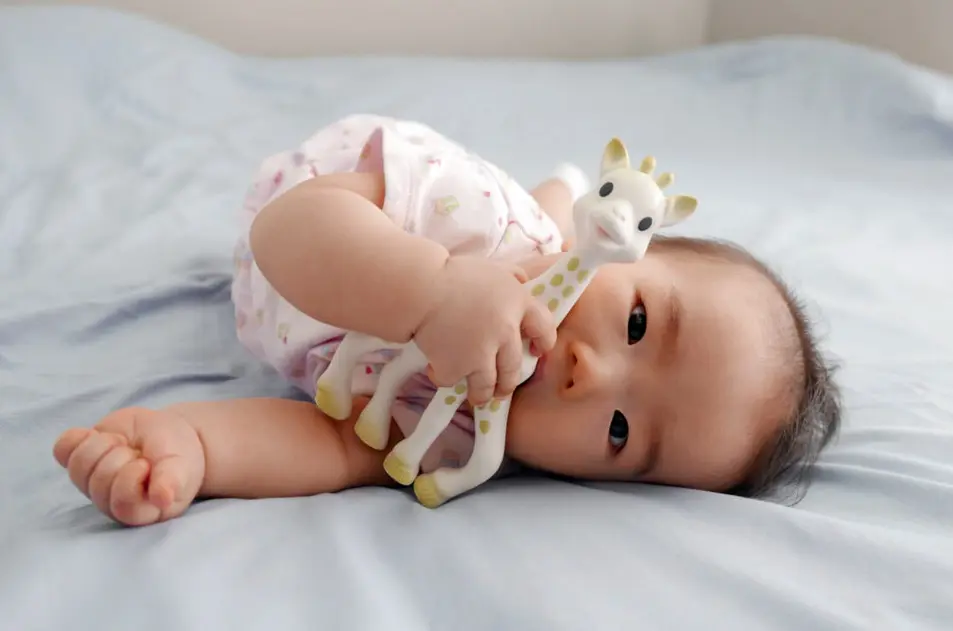 Sophie la Girafe toxique