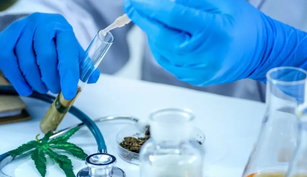 CBD scientifique