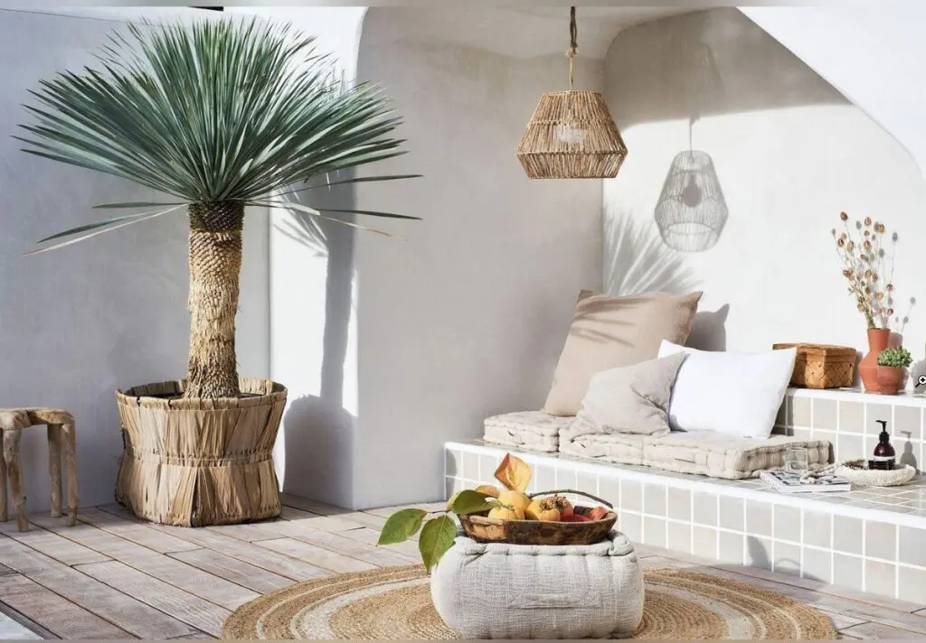 jardin extérieur décoration