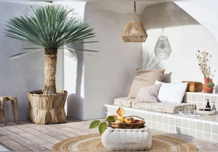 jardin extérieur décoration