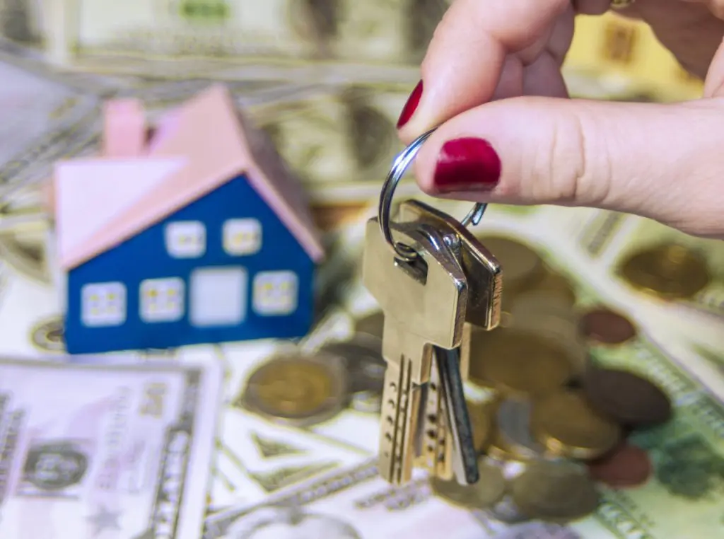 immobilier loi pinel