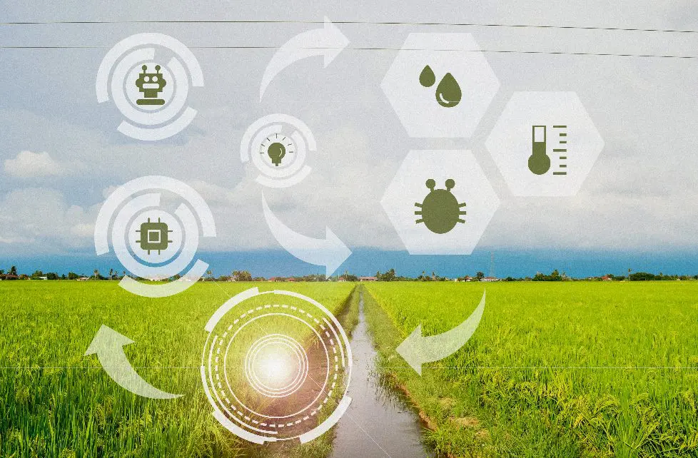 Domaine agricole avec des technologies de pointe et des innovations dans l'agro-industrie