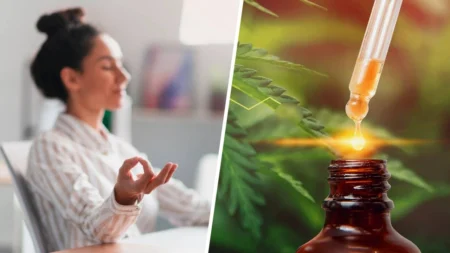 CBD et gestion du stress : comment le cannabidiol peut accompagner votre quotidien ?