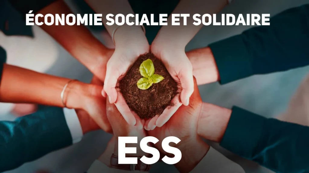 Économie Sociale et Solidaire (ESS) : les 5 principes clés