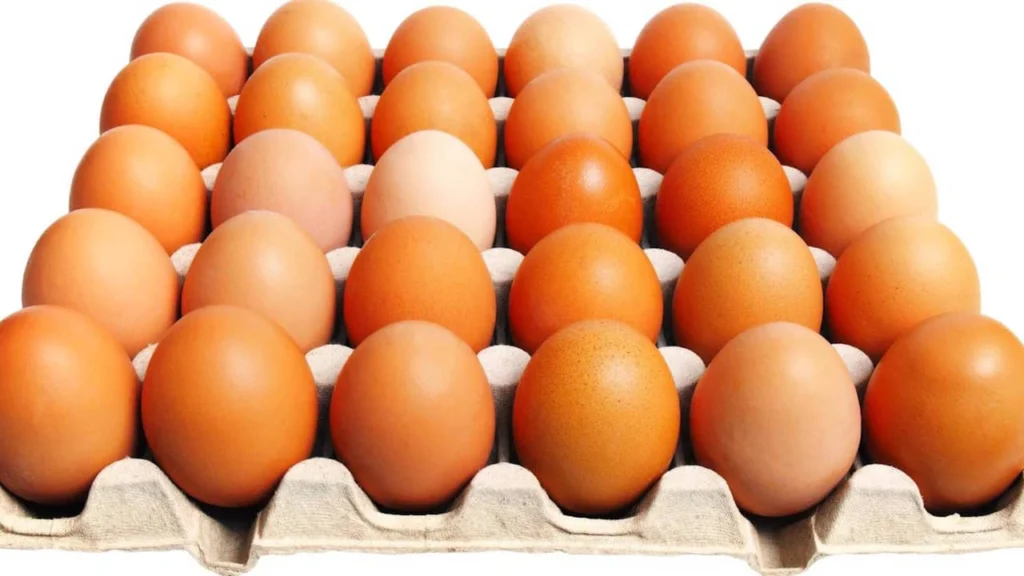 œufs extra frais de catégorie A