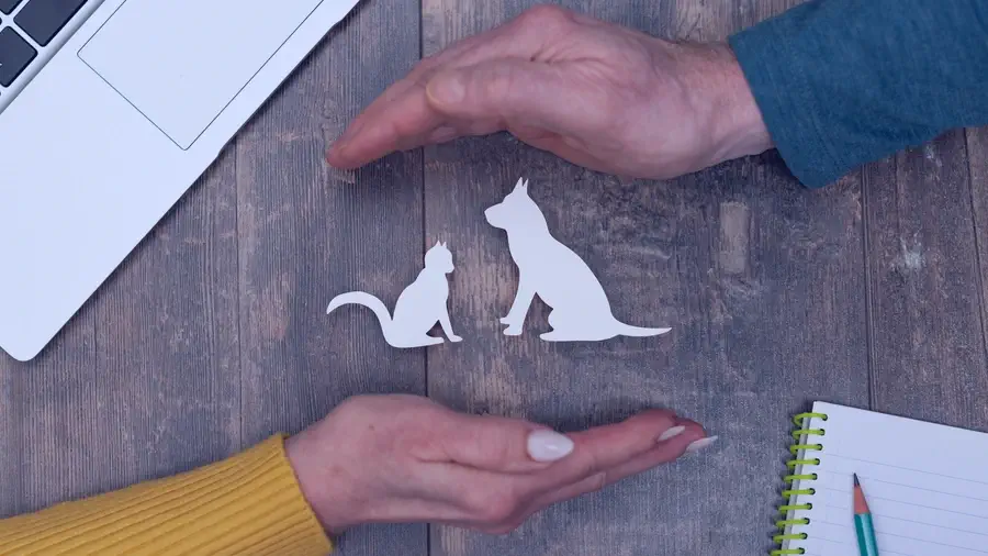 assurance pour animaux de compagnie