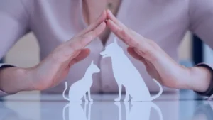 Prix assurance animaux : évolution et tarifs en France